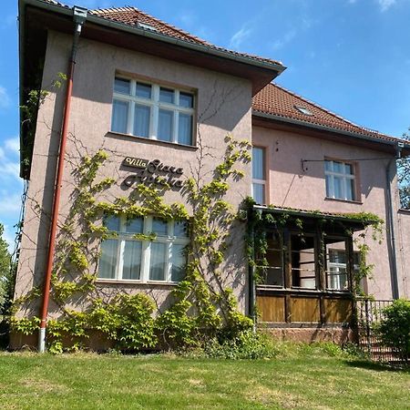 Villa Stara Apteka Srebrna Góra Εξωτερικό φωτογραφία