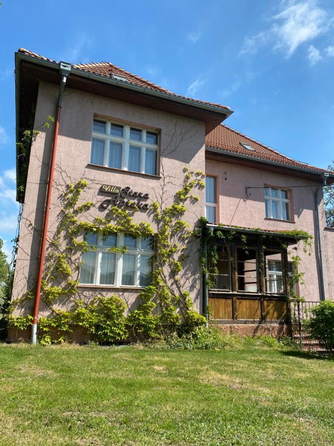 Villa Stara Apteka Srebrna Góra Εξωτερικό φωτογραφία